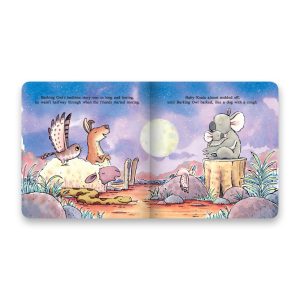 The Koala Who Couldn’t Sleep Book